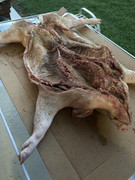 39FA553F-58FC-421E-8C4C-3E700B5008CA