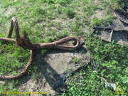 IMG-1772