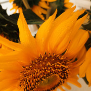 IMG-20231222-123852-683