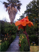 Image00054
