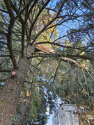 [Image: 20251217-084711.jpg]