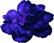 MVDLavender-Love-103
