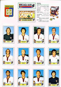 Calciatori-1975-1976-Panini-08