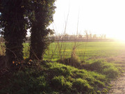 photo 24 2026 01 03 21 19 51