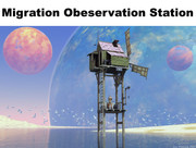 migration-observation-station