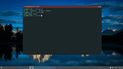 Dillo-Screenshot-2023-12-28-12-36-46.png