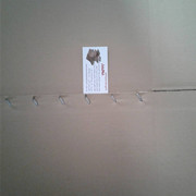 carton-mohammad (190)