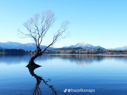 photo 7 2025 12 12 16 19 07