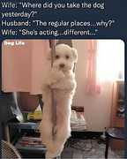 [Image: 1754692271914blob.png]