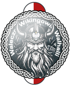 Waleczni-Wikingowie
