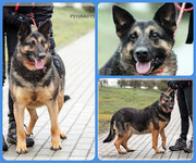 Be-Funky-collage-15.jpg&key=d56ed7d8b25c