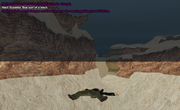 13.png
