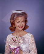 shelley-fabares-b97