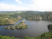 IMG-7978.jpg