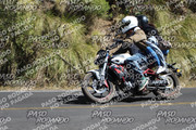 IMG-1387