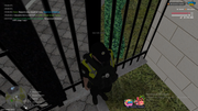 image-38