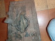IMG-20251114-194535.jpg