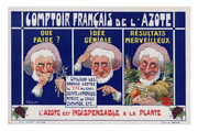 Comptoir Français de l'Azote