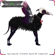 0016 - Kroe - #290069