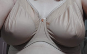 Elomi-Smooth-38F
