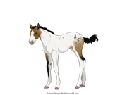 2BB67D47-5DAF-47E3-B084-A546975052C1