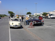 P1010037.jpg