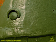 DSCN5206