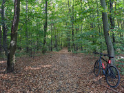 PXL_20211004_144335621