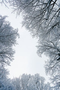 wp10542741-vertical-cute-winter-wallpapers