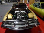 DSC06121.jpg