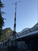 IMG-4379