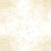 Winter-White-Papers-14