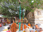 BBG&B13ByeBodhGaya - 1
