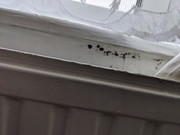 PXL 20260312 100626552