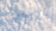 6.5.an assortment of clouds and a kite V