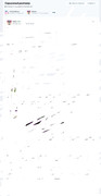 iiiiii.jpg
