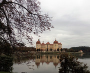 IMG-20191008-093032