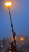IMG-0600