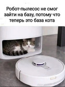 8bd78bf8a89d6071e4e203e20c1a2807.jpg