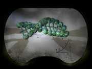 greem-beads1.jpg
