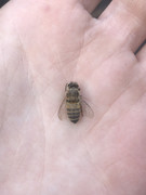 95D2046B-C5B8-4ABD-A6EC-7F2A8C174E5D