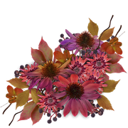 ISmell-Autumn-LL-Element69