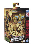 TF-Kingdom-Official-Pics-017