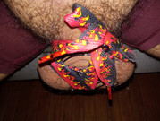 IMG-20260515-230419654