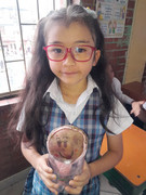 Clases Particulares (32)