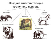 https://i.postimg.cc/DSVfXg5H/363dc3fbf20d660d326bad703afbe7e0-800x.jpg