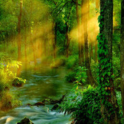 TADD_papiers_Autumn_Fairy_Tales_3