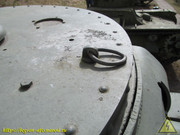 IMG-6540