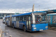 IMG-4497