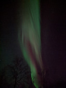 PXL_20221120_181228331.NIGHT